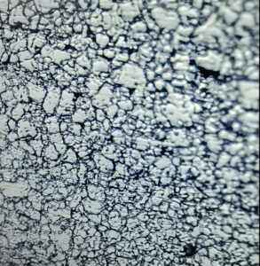 AISI 304 stainless steel precision strip microstructure showing uniform austenitic grains
